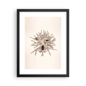 Plakát v černém rámu - Rozkvět v tanci - 30x40 cm