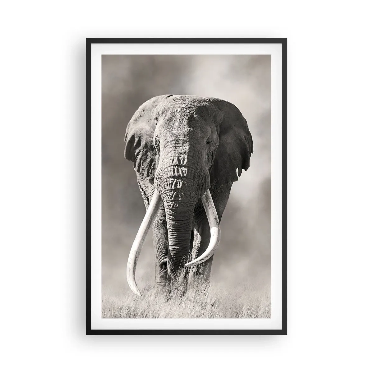 Plakát v černém rámu - Africký patriarcha - 61x91 cm