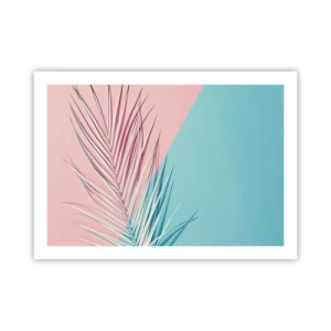 Plakát - Tropický dojem - 70x50 cm