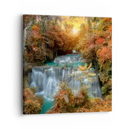 Obraz na plátně - Ukrytý poklad lesa - 40x40 cm