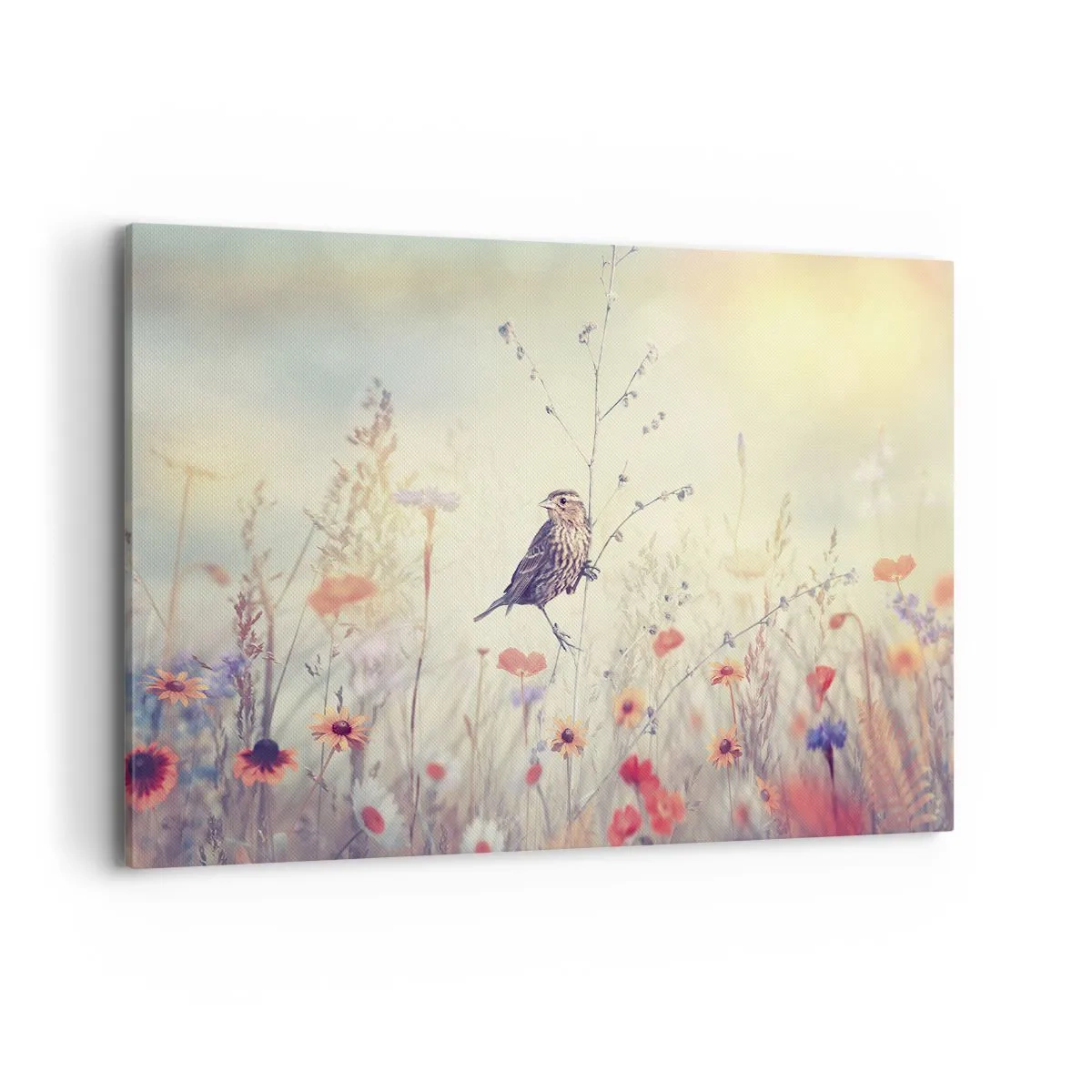Obraz na plátně - Portrét ptáka s loukou v pozadí - 120x80 cm