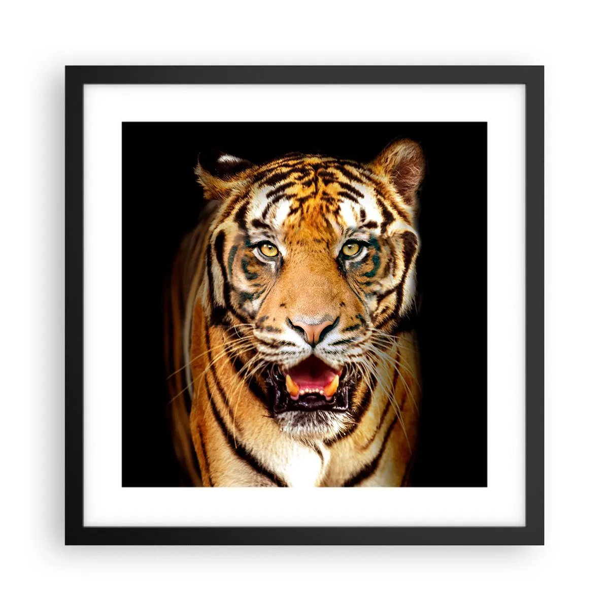 Plakát v černém rámu - Divokost srdce - 40x40 cm