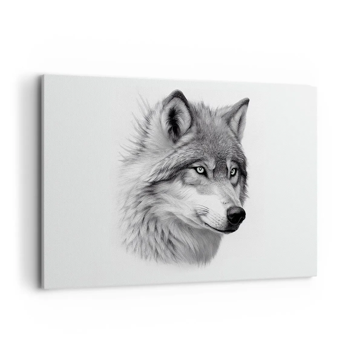 Obraz na plátně - Alfa – bezpochybně - 120x80 cm