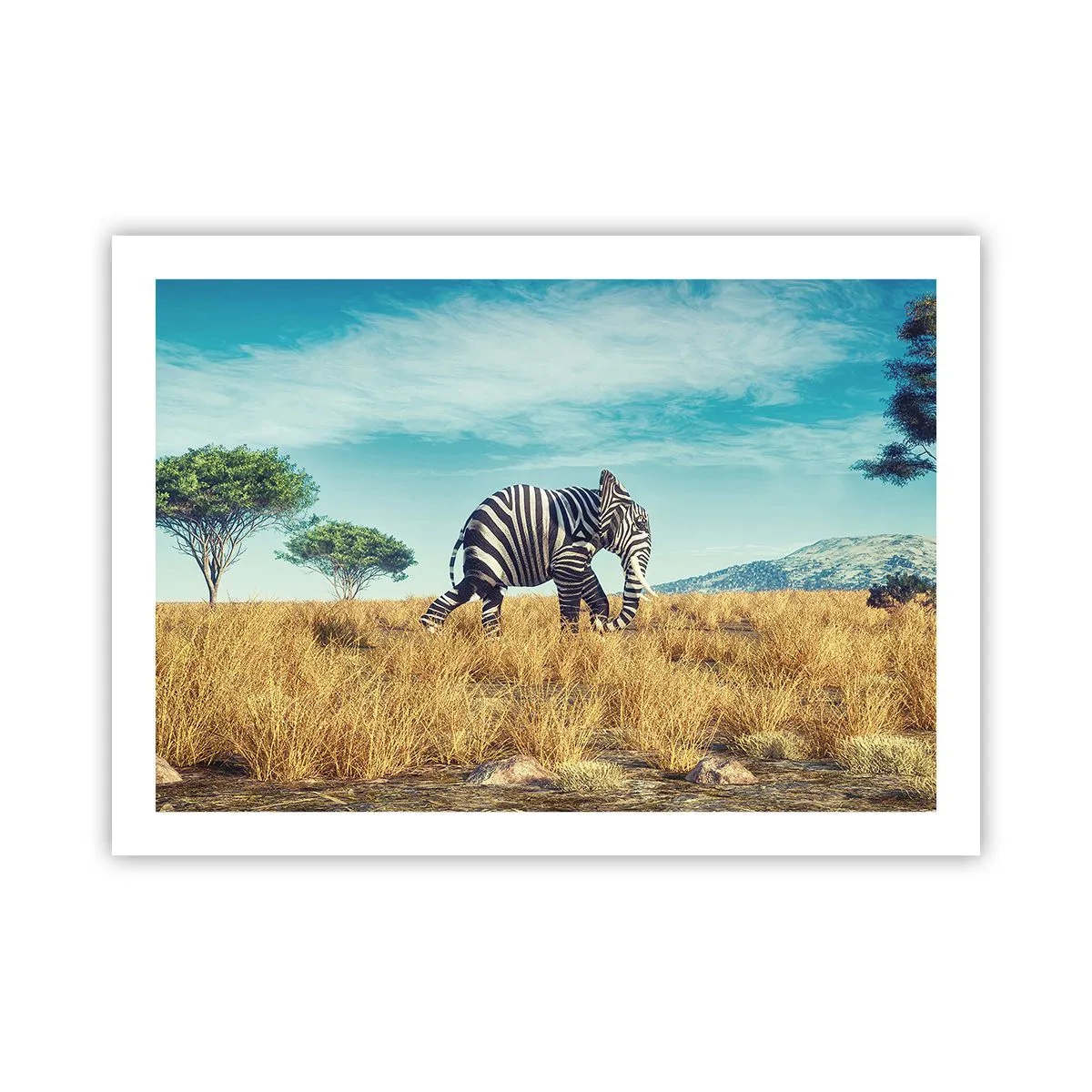 Plakát - Šedá už není v módě - 70x50 cm