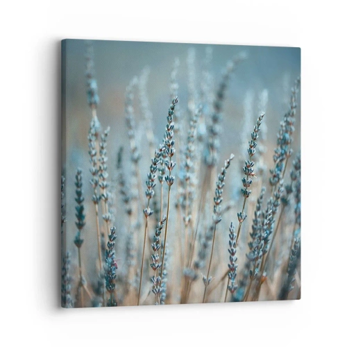 Obraz na plátně - Voňavý lán - 30x30 cm