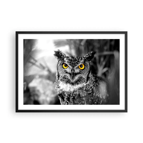 Plakát v černém rámu - Nic se neschová - 70x50 cm