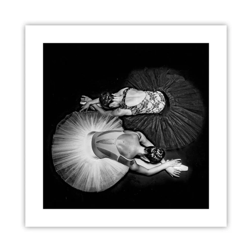 Plakát - Jin a jang – dokonalá rovnováha - 40x40 cm