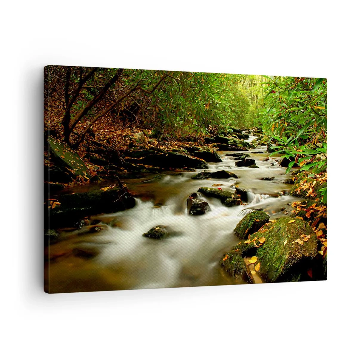 Obraz na plátně - Lesní potok tekoucí mezi kameny obklopený zelení - 70x50cm - Jako tekuté stříbro - Moderní nástěnná dekorace do obývacího pokoje a ložnice ARTTOR