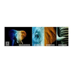 Fototapeta Vzorek Standard Eco - Výstřední muž, ale ne podivín - Abstrakce, Slon, Zvířata - 100x30 cm