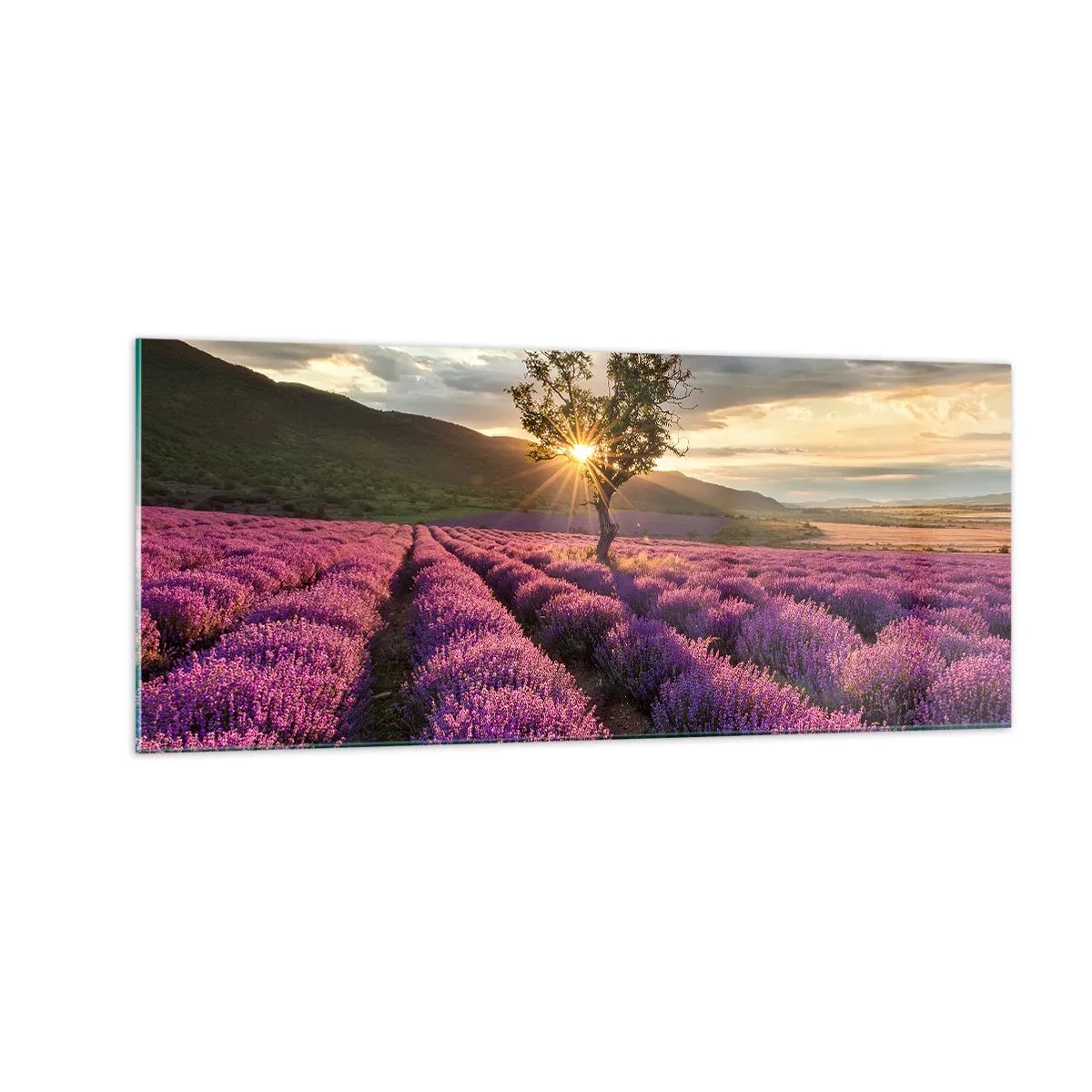 Obraz na skle - Aroma v barvě lila - 100x40 cm
