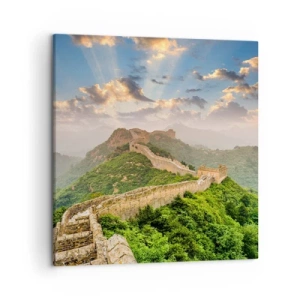 Obraz na plátně - Nepomíjející velikost - 50x50 cm