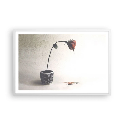Plakát v bílém rámu - Rosa dolorosa - 91x61 cm