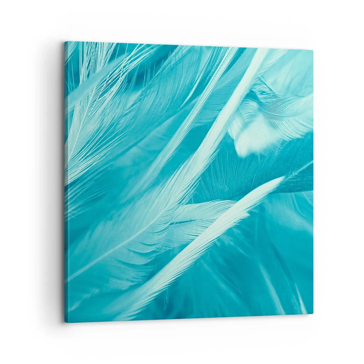 Obraz na plátně - Utonout v chmýří - 60x60 cm