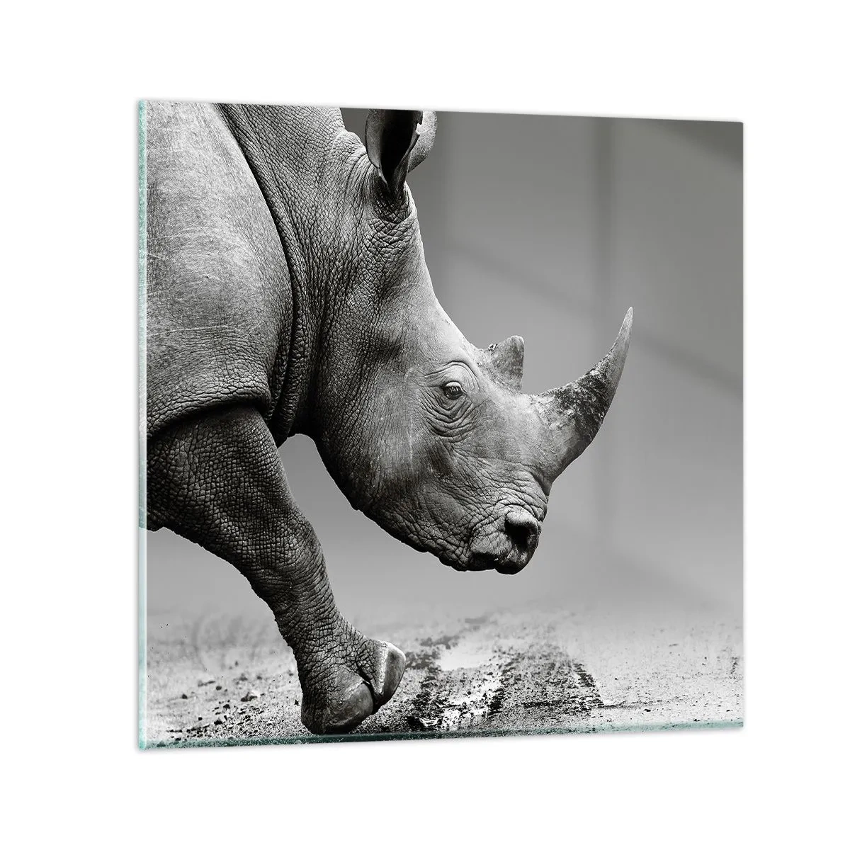 Obraz na skle - Nezastavitelná síla - 50x50 cm