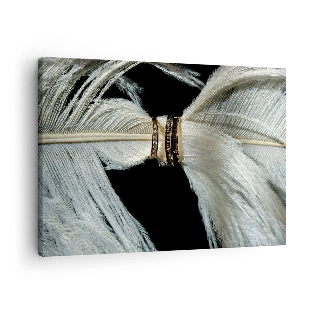 Obraz na plátně - Bílé pírko se dvěma zlatými kroužky na černém pozadí - 70x50cm - …a neopustím tě…. - Moderní nástěnná dekorace do obývacího pokoje a ložnice ARTTOR