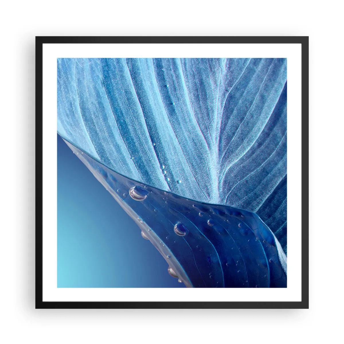 Plakát v černém rámu - Skryté kapky modři - 60x60 cm