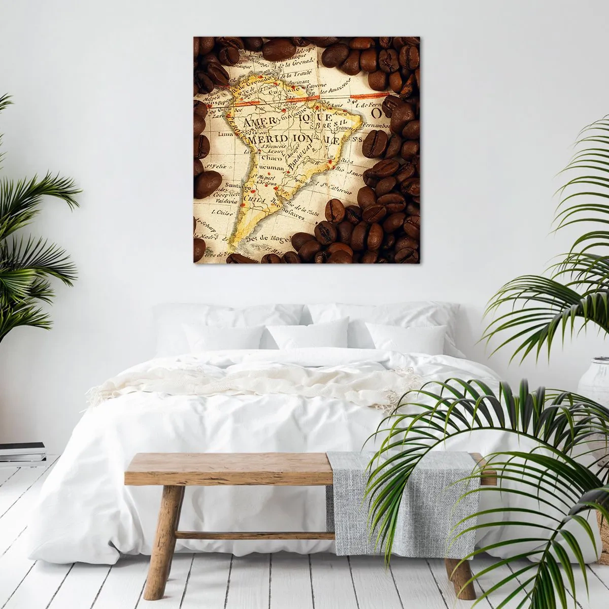 Obraz na plátně - Odkud je nejlepší káva? - 70x70 cm