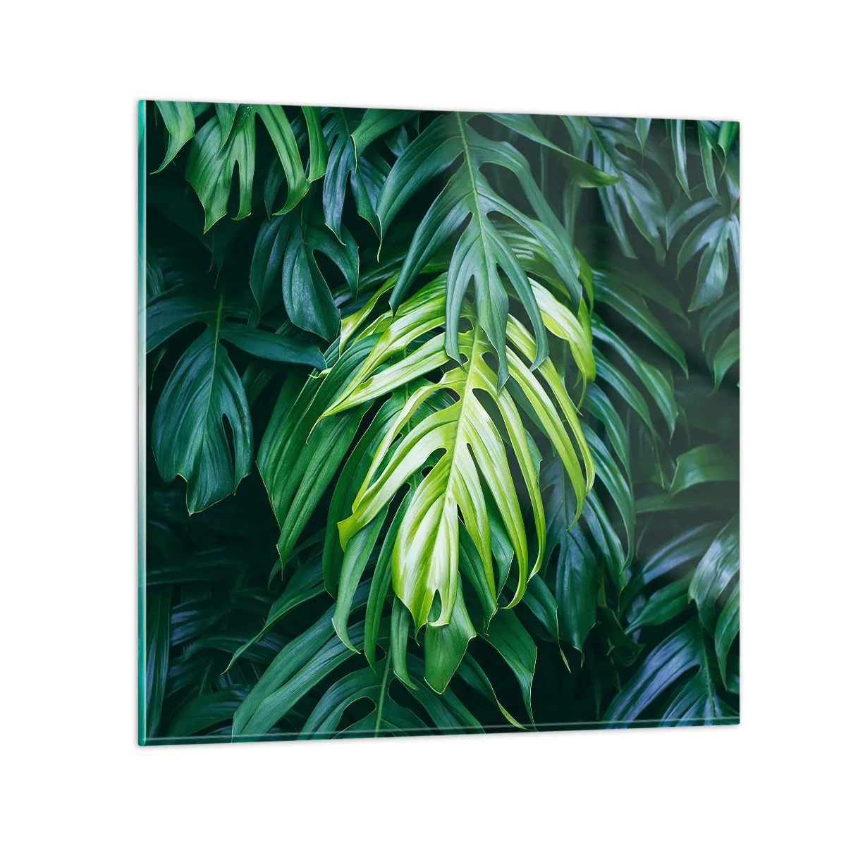 Obraz na skle - Ponořit se do svěžesti - 30x30 cm