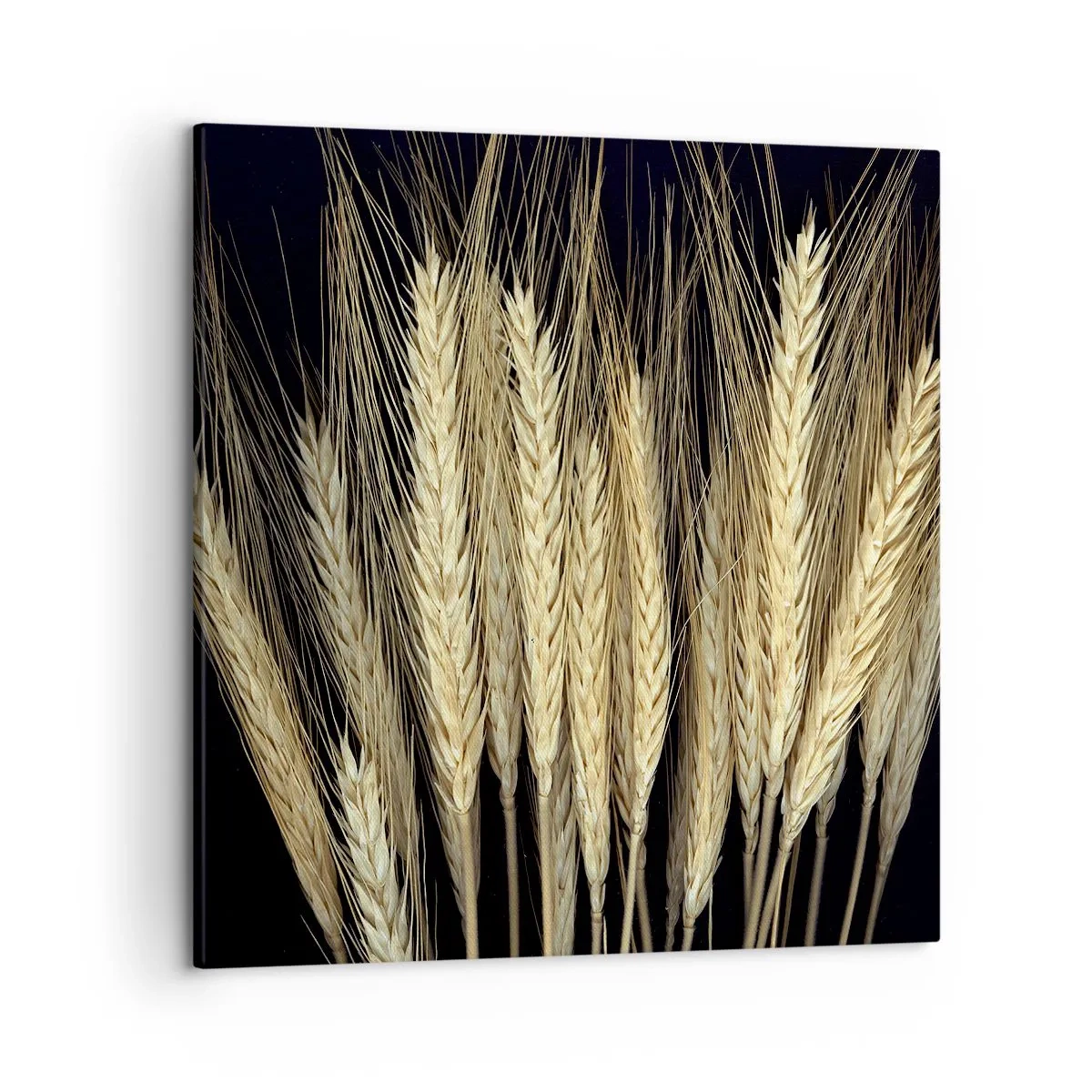 Obraz na plátně - Rustikální magie - 50x50 cm