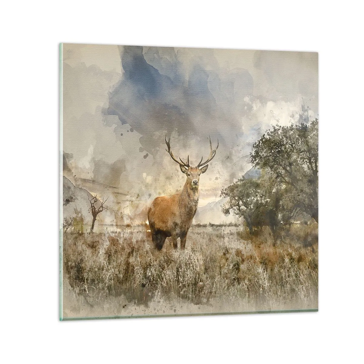 Obraz na skle - Důstojnost - síla - majestátnost - 40x40 cm