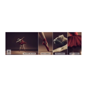 Vzor Fototapety Samolepicí Deluxe Sticker - Prima balerína - Balerína, Tanec, Balet - 100x30 cm