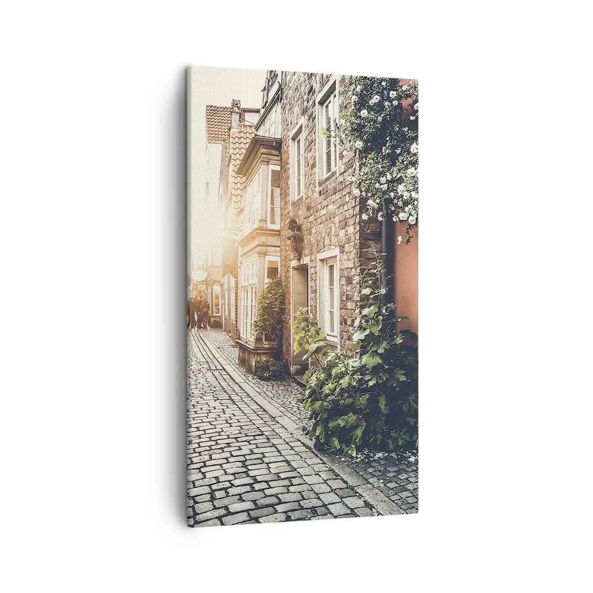 Obraz na plátně - Růžová ulička v růžové září - 45x80 cm