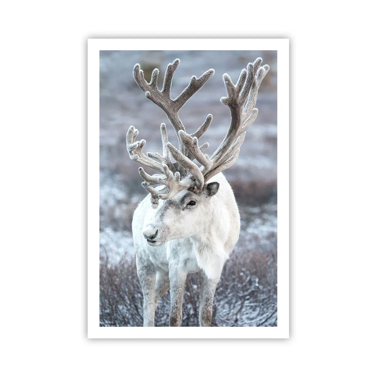 Plakát - Sluneční portrét - 61x91 cm