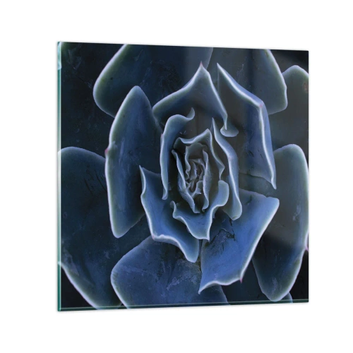 Obraz na skle - Pouštní květ - 60x60 cm