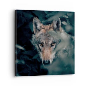 Obraz na plátně - Predátor - 40x40 cm