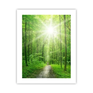 Plakát - Zelená katedrála - 40x50 cm