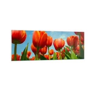 Obraz na skle - Kromě blankytného nebe nic v životě nepotřebují - 140x50 cm