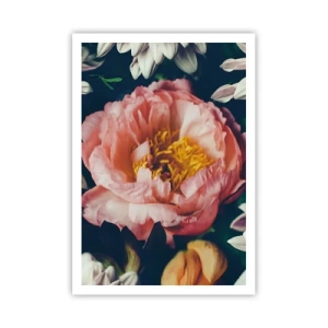 Plakát - S barokním přepychem - 70x100 cm