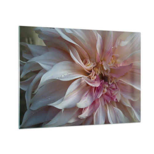 Obraz na skle - Detail růžového a krémového květu s kapkami vody - 70x50cm - Kvetoucí svěžest - Moderní nástěnná dekorace do obývacího pokoje a ložnice ARTTOR
