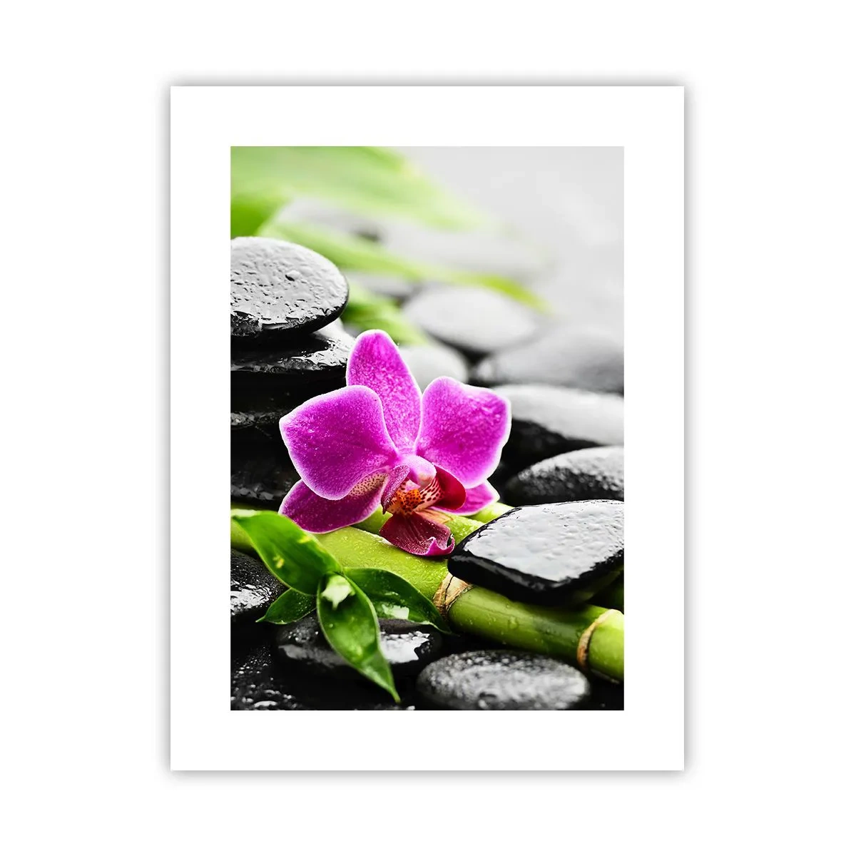 Plakát - V klidné rovnováze - 30x40 cm