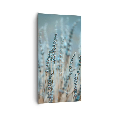 Obraz na plátně - Voňavý lán - 65x120 cm