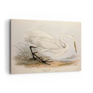 Obraz na plátně - Paní rákosin - 100x70 cm