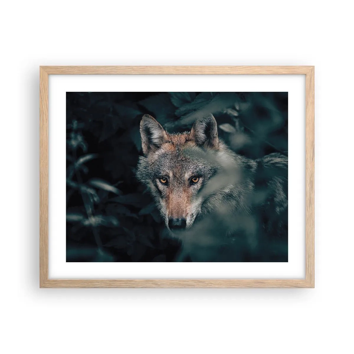 Plakát v rámu světlý dub - Predátor - 50x40 cm