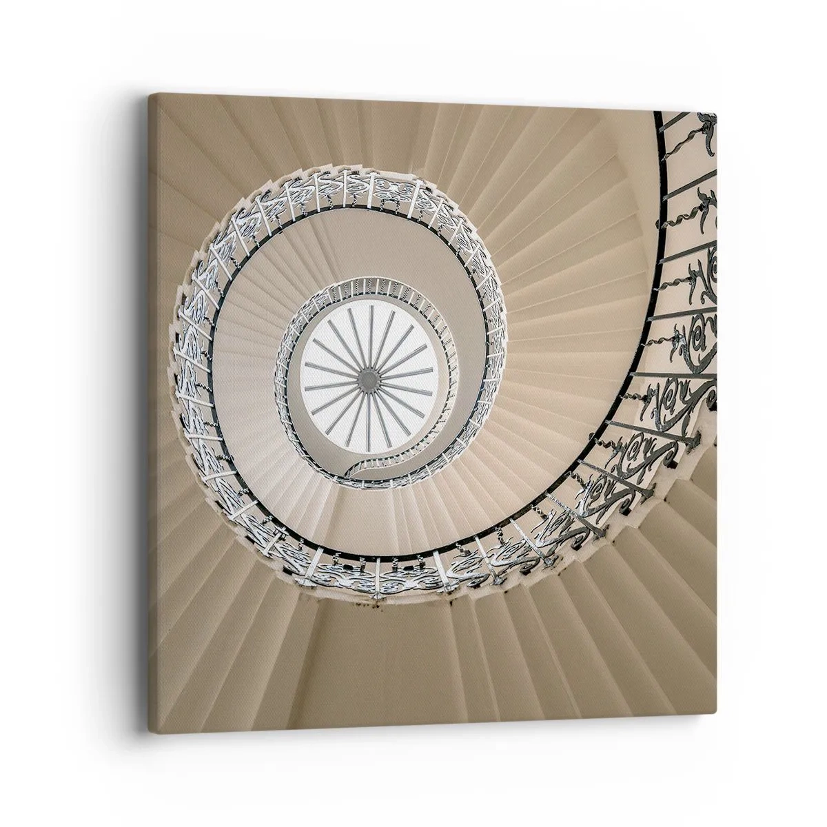 Obraz na plátně - Uvnitř mušle - 40x40 cm