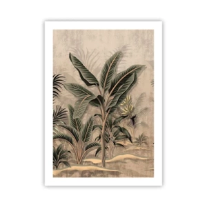 Plakát - Rytina v koloniálním stylu - 50x70 cm