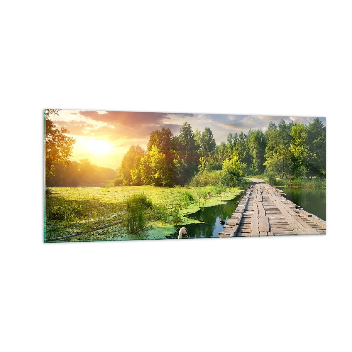 Obraz na skle - Léto, léto všude - 100x40 cm