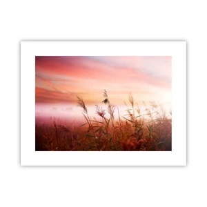 Plakát - Draci, pampelišky a vítr - 40x30 cm