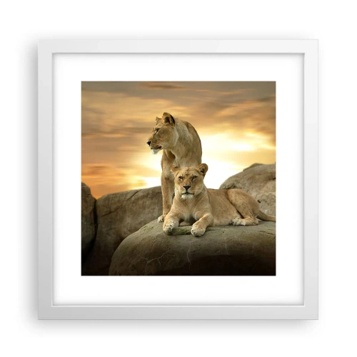 Plakát v bílém rámu - Královský majestát - 30x30 cm