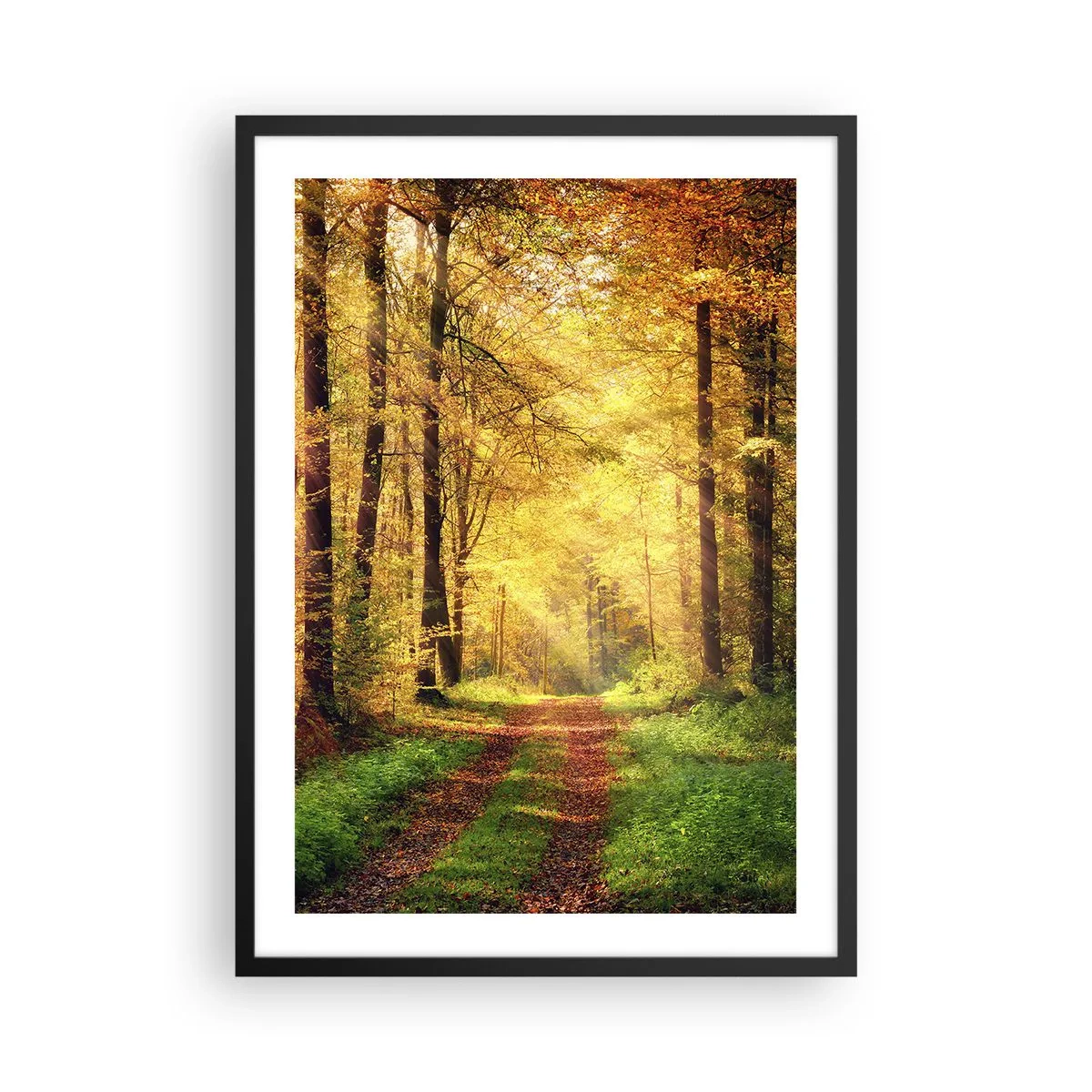Plakát v černém rámu - Lesní cesta ve světle zlatého podzimního slunce - 50x70cm - Lesně-zlaté ticho - Moderní nástěnná dekorace do obývacího pokoje a ložnice ARTTOR