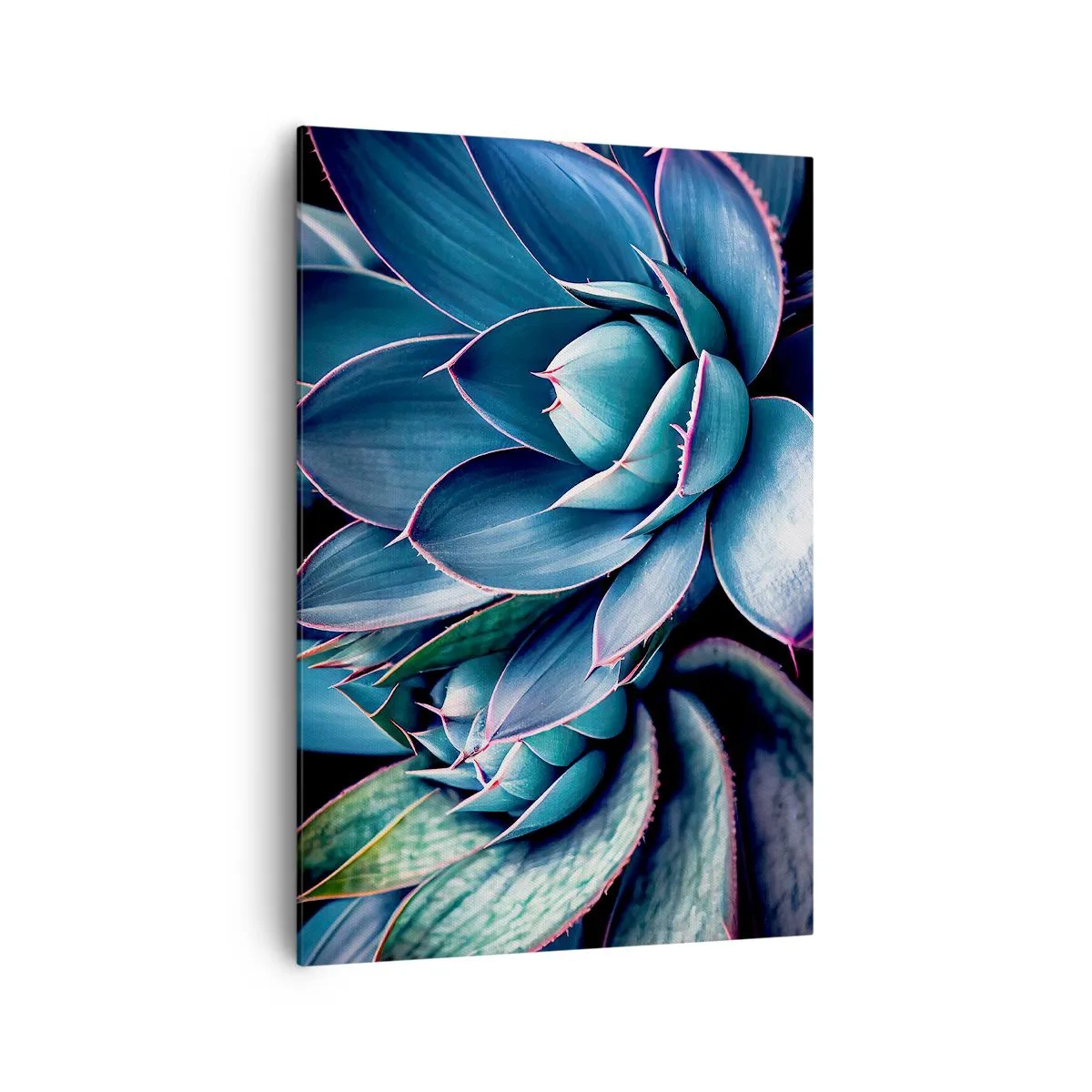 Obraz na plátně - Vitální síla - 70x100 cm