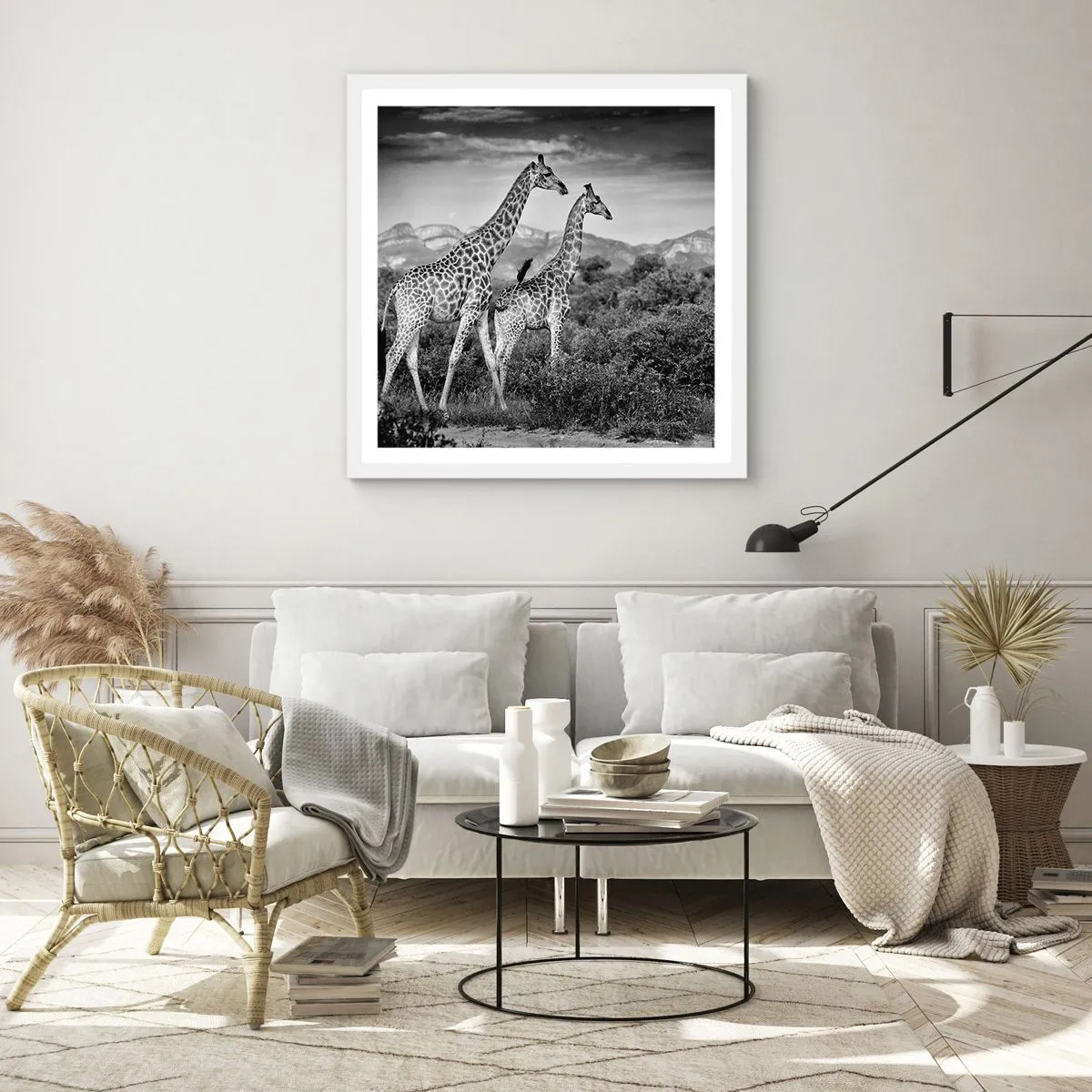 Plakát v bílém rámu - Vyšší kruhy v Africe - 50x50 cm