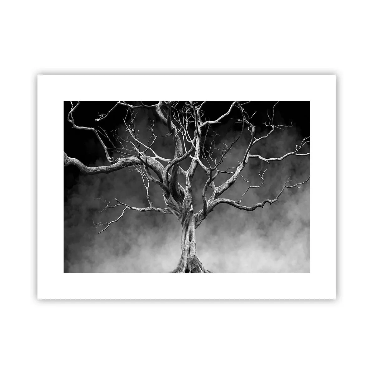 Plakát - Původní a svaté - 40x30 cm