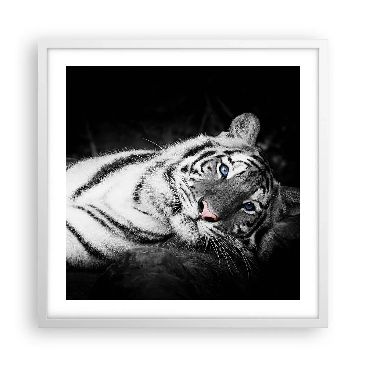 Plakát v bílém rámu - Divočina a klid - 50x50 cm