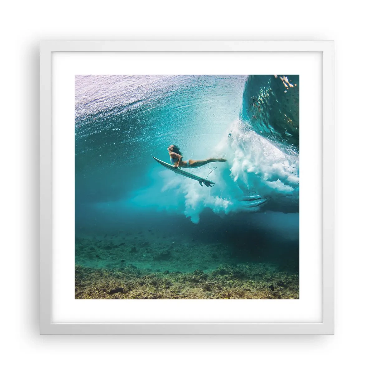 Plakát v bílém rámu - Podmořský svět - 40x40 cm