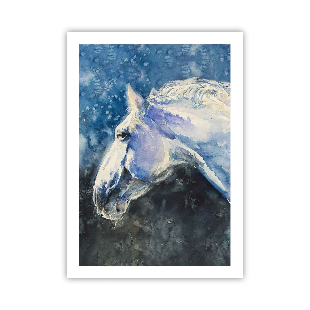 Plakát - Portrét v modré záři - 50x70 cm