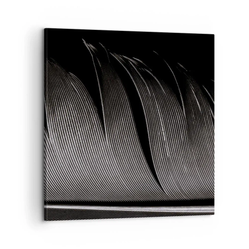 Obraz na plátně - Peří – nádherná konstrukce - 60x60 cm